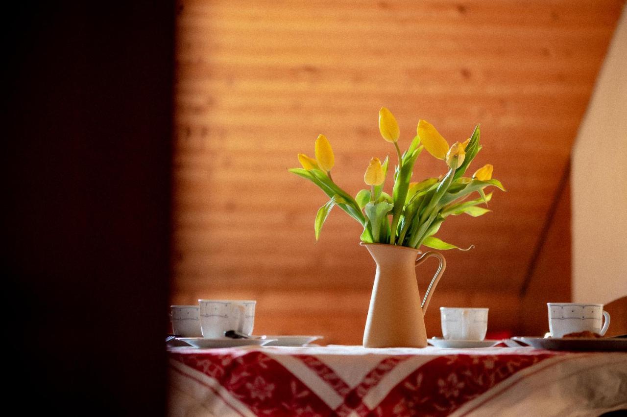 Bodensee Apartments, Sauna, Lake Walks, Free Parking, Self Checkin, Nature Reserve, Restaurants Nearby Gaissau  Εξωτερικό φωτογραφία
