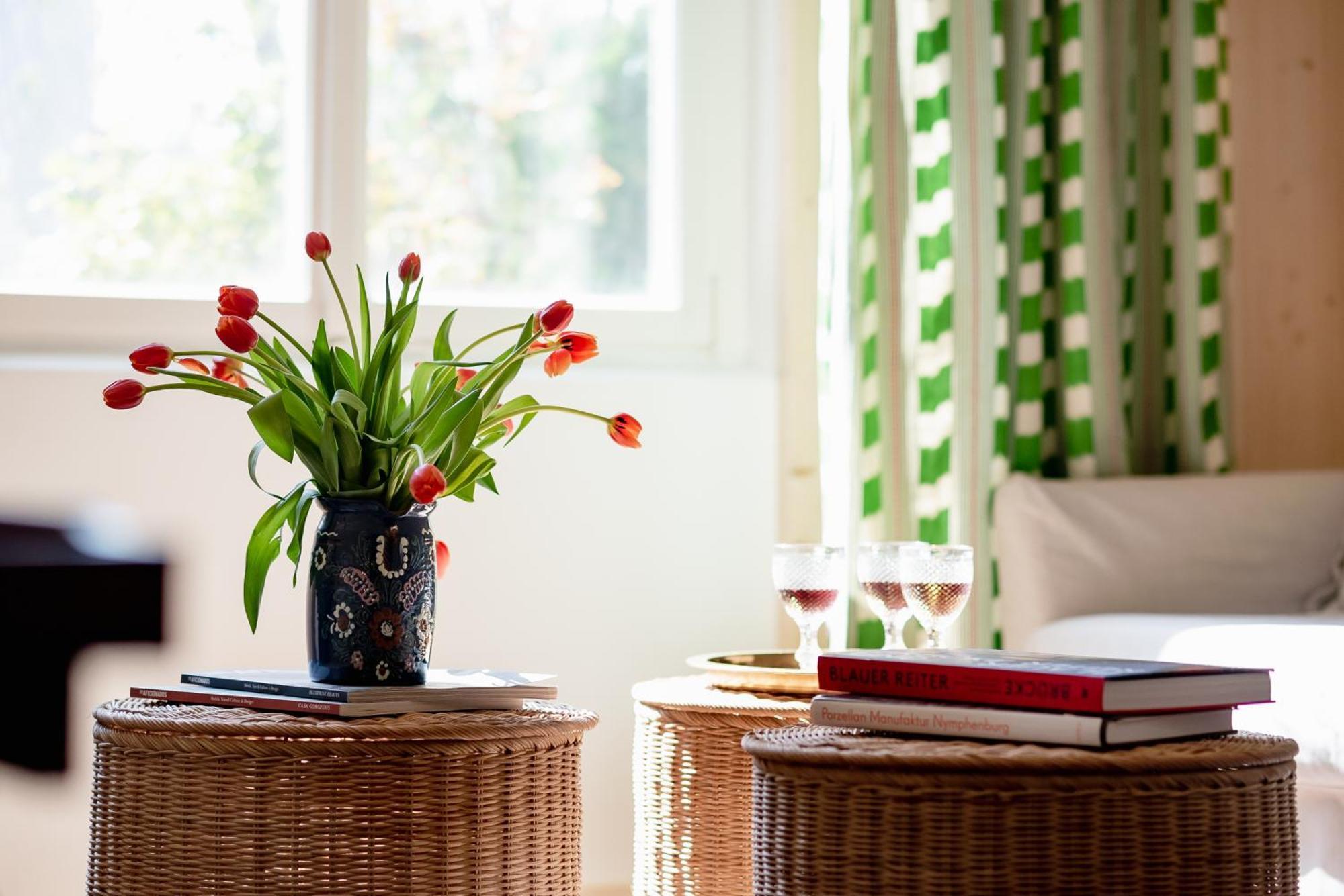 Bodensee Apartments, Sauna, Lake Walks, Free Parking, Self Checkin, Nature Reserve, Restaurants Nearby Gaissau  Εξωτερικό φωτογραφία